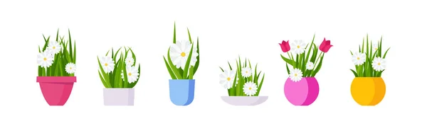 Hrnec Heřmánku Tulipány Zahradní Květiny Ploché Vektorové Ilustrace Izolované Bílém — Stockový vektor