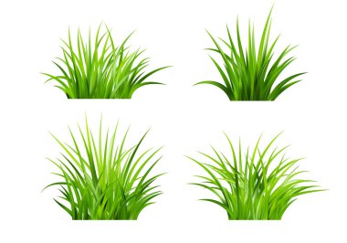 Gerçekçi yeşil çimenler. Taze yeşillikler. Bahar çayırı. Yaz çimeni. Bitkilerle dolu bir açıklık. Doğa manzara vektörü illüstrasyonu.