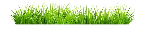 Realistiskt Grönt Gräs Buskar Med Färska Grönsaker Våräng Sommargräsmatta Glade — Stock vektor