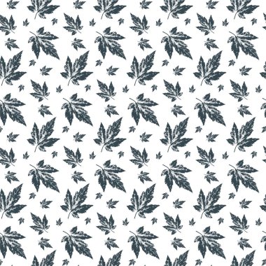 Akçaağaç yaprağı damgalı, pürüzsüz desen. Grunge sonbaharı iz bırakır. Mürekkep çiçeği dokusu. Beyaz nesneler izole edildi. Siyah ve beyaz vektör çizimi.