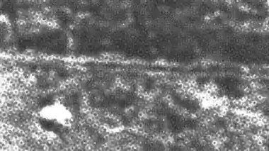 Yarım ton noktalı, kusursuz animasyon arka plan. Grunge animasyonu. Komik noktalı dokular. Toz, siyah beyaz kaplama. Memphis tasarımı. Pop sanat modern şehir tarzı. Moda deseni.