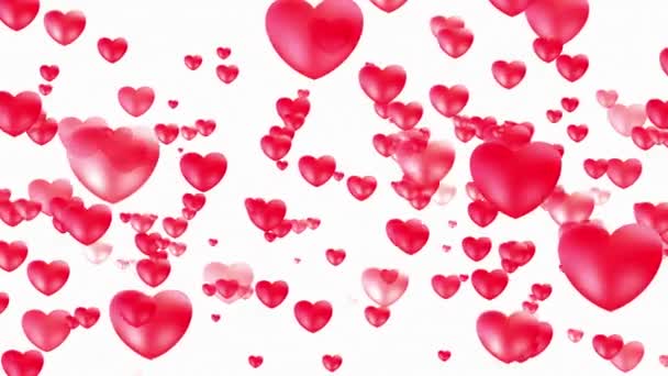 情人节激励着飞舞的心 在白色背景上的浪漫柔嫩的粉红的心 圣瓦伦丁第2天动画 结婚周年纪念日 漂浮的白色尘埃粒子 — 图库视频影像