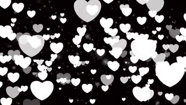 Día San Valentín Animado Corazones Voladores Superposición Blanca Negra Corazones — Vídeo de stock