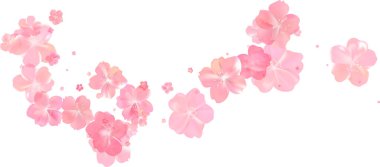 Yumuşak bahar pembe çiçek akışı. Kadın parfümünün narin kokusu. Kiraz çiçeklerinin aroması. Çiçekli hava girdabı. Sihirli bahar tozu yaprakları sıçrar. Hediye için arka plan, kart, paket. Vektör illüstrasyonu.