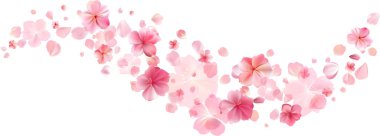 Narin açık pembe sakura çiçekleri akar. Rüzgar girdapları, uçan çiçek yaprakları. Çiçekli hava girdabı. Yumuşak gül bacağı. Sevgililer Günü için arka plan, doğum günü ya da düğün kartı. Vektör illüstrasyonu.