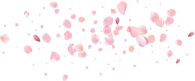 Yumuşak bahar pembe çiçek akışı. Kadın parfümünün narin kokusu. Kiraz çiçeklerinin aroması. Çiçekli hava girdabı. Sihirli bahar tozu yaprakları sıçrar. Hediye için arka plan, kart, paket. Vektör illüstrasyonu.