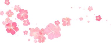 Yumuşak bahar pembe çiçek akışı. Kadın parfümünün narin kokusu. Kiraz çiçeklerinin aroması. Çiçekli hava girdabı. Sihirli bahar tozu yaprakları sıçrar. Hediye için arka plan, kart, paket. Vektör illüstrasyonu.