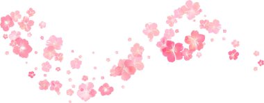 Yumuşak bahar pembe çiçek akışı. Kadın parfümünün narin kokusu. Kiraz çiçeklerinin aroması. Çiçekli hava girdabı. Sihirli bahar tozu yaprakları sıçrar. Hediye için arka plan, kart, paket. Vektör illüstrasyonu.