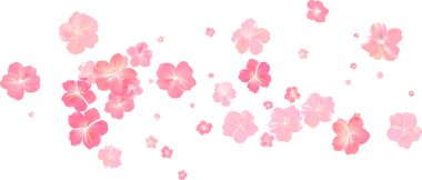 Yumuşak bahar pembe çiçek akışı. Kadın parfümünün narin kokusu. Kiraz çiçeklerinin aroması. Çiçekli hava girdabı. Sihirli bahar tozu yaprakları sıçrar. Hediye için arka plan, kart, paket. Vektör illüstrasyonu.