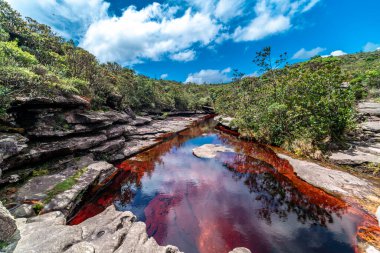 Güney Amerika 'da bir dağ nehri taşların arasından akar..