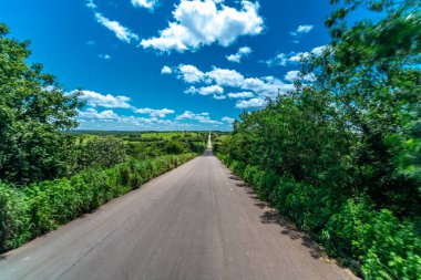 Güney Amerika 'da asfalt yol Brezilya doğasında.
