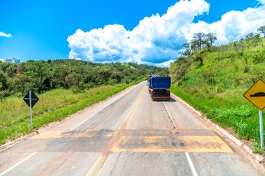Asfalt yolda yavaşlayan gerzek.