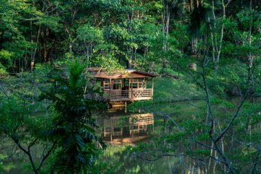 Doğada bir gölün kıyısındaki ahşap ev..