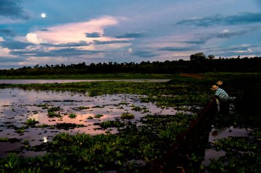 Doğada gölün üzerinde renkli bir gün doğumu. Yüksek kalite fotoğraf