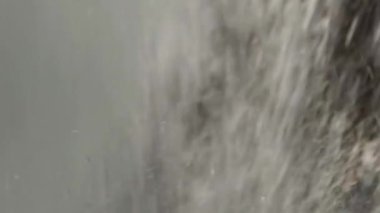 Brezilya 'da şelale doğada.