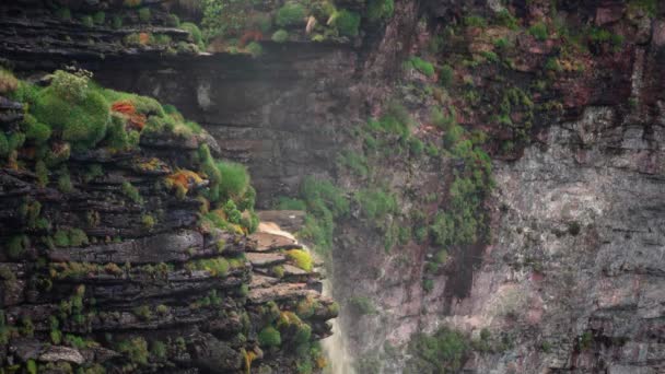 Waterfall Brazil Nature — Stock Video