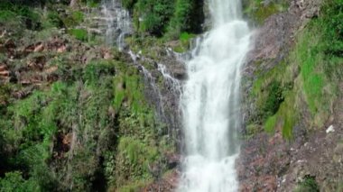Brezilya 'da şelale doğada.