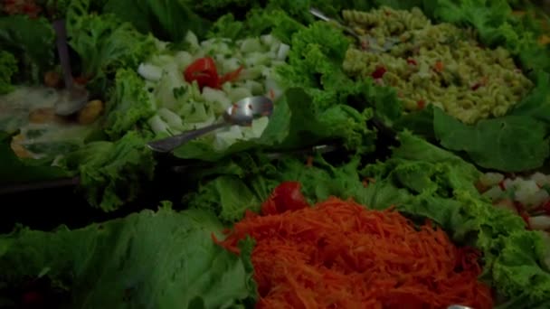 Σαλάτες Λαχανικών Και Ζυμαρικών Στο Μπουφέ — Αρχείο Βίντεο