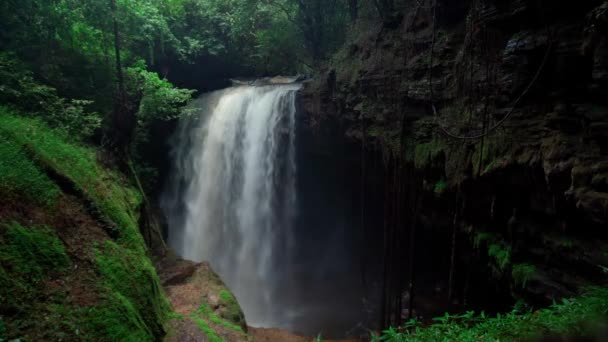 ブラジルの滝自然 — ストック動画