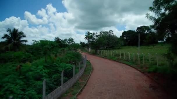 Estrada Terra Com Buracos Natureza Brasileira — Vídeo de Stock