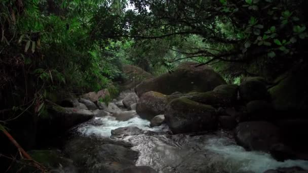 Cascata Brasile Natura — Video Stock