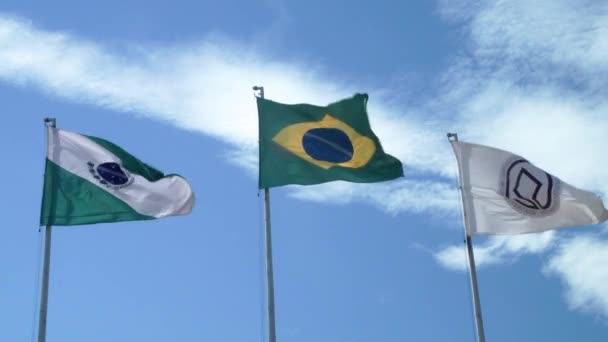 Brasil Marzo 2022 Bandera Brasil Cielo Azul Imágenes Alta Calidad — Vídeo de stock