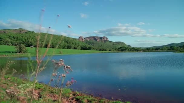 Lago Brasil América Del Sur Imágenes Alta Calidad — Vídeo de stock