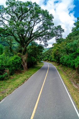 Güzel bir dağ manzarasında yol. 