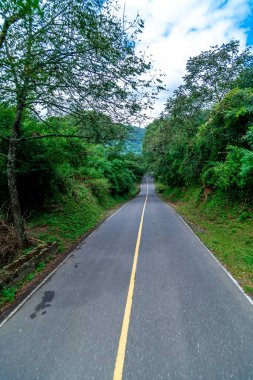Güzel bir dağ manzarasında yol. 
