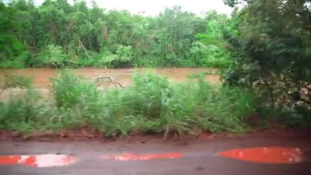 Río Selva Tropical América Del Sur — Vídeos de Stock