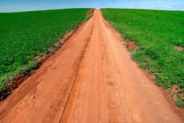 sandy road in rural South America. High quality photo