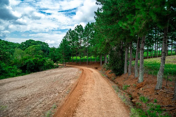 sandy road in rural South America. High quality photo