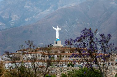 Yungay, Peru 'daki Huascaran Ulusal Parkı. UNESCO Dünya Doğal Miraslar Listesi. And Dağları 'ndaki biyosfer rezervi. 