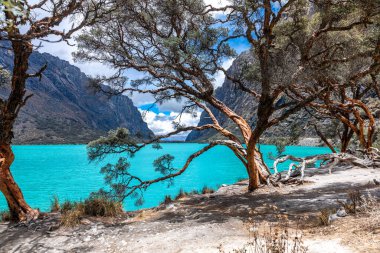 Yungay, Peru 'daki Huascaran Milli Parkı. 