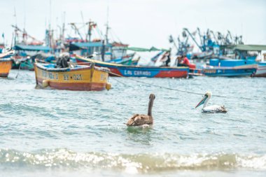 Peru - 21 Eylül 2022: Okyanusta balıkçı tekneleri.