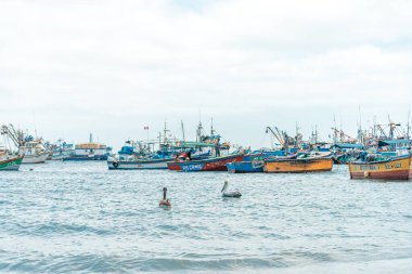 Peru - 21 Eylül 2022: Okyanusta balıkçı tekneleri.