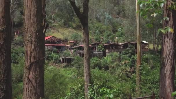森の村に家がある 高品質の写真 — ストック動画