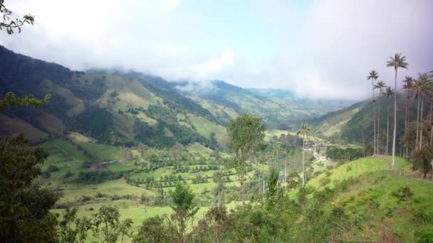 Cocora Palm Valley Colombia South America — Stockvideo