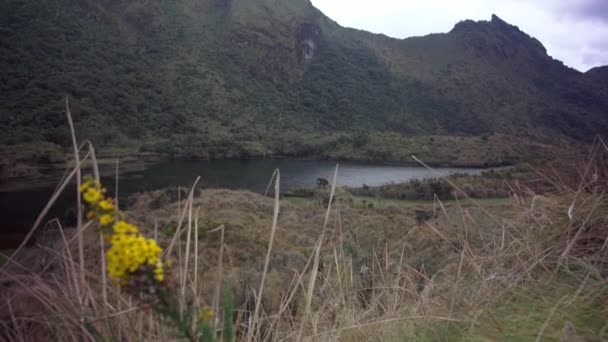 Cayambe Coca Ecological Reserve Ecuador — Stockvideo
