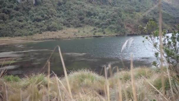 Cayambe Coca Ecological Reserve Ecuador — Stock Video