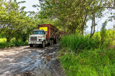 long truck from several trailers. 