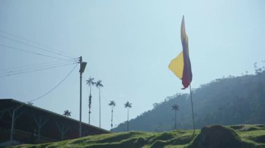 Colombian flag in the national park. 