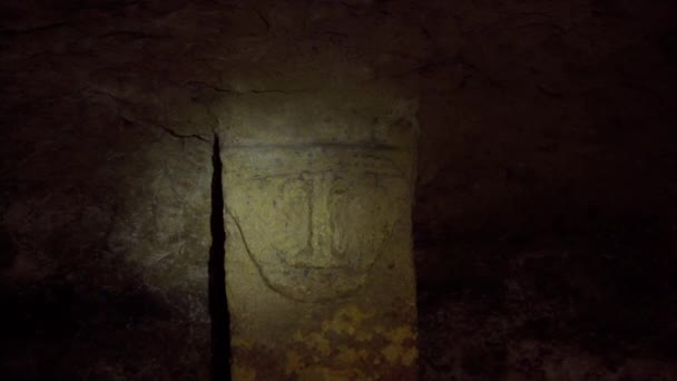 コロンビアのティエラ アバホ国立考古学公園 ティエラデントロ ユネスコ世界遺産 — ストック動画