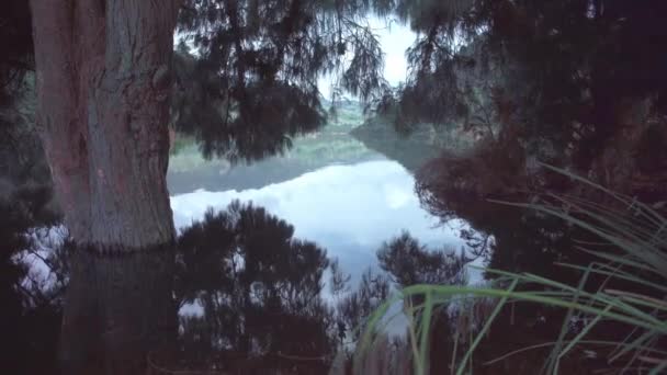 Mountain Lake Beautiful Colombian Nature — Αρχείο Βίντεο