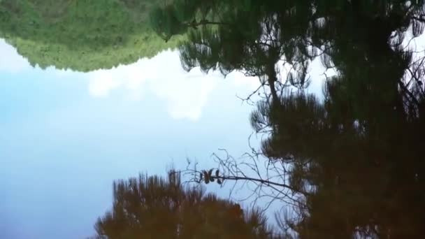 Mountain Lake Beautiful Colombian Nature — Vídeo de Stock