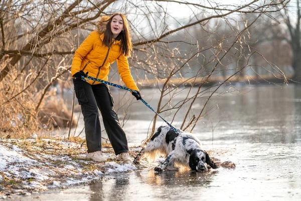 stock image teenager with a dog on a walk in the park. High quality photo