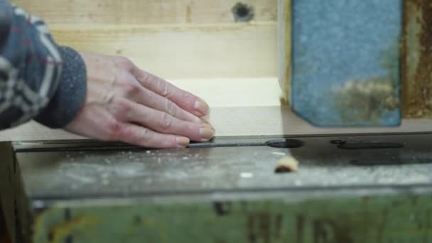 Machine Wood Treatment Carpentry High Quality Photo — Stockvideo
