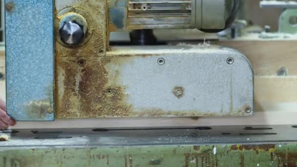 Machine Wood Treatment Carpentry High Quality Photo — Vídeo de Stock