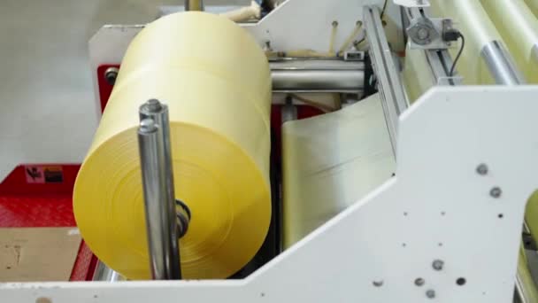 Herstellung Von Plastiktüten Und Verpackungen Auf Maschinen Der Fabrik — Stockvideo