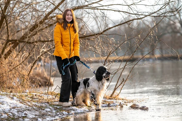 stock image a girl with a dog by a frozen lake. english setter. High quality photo